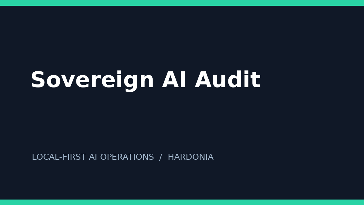 Sovereign AI Audit